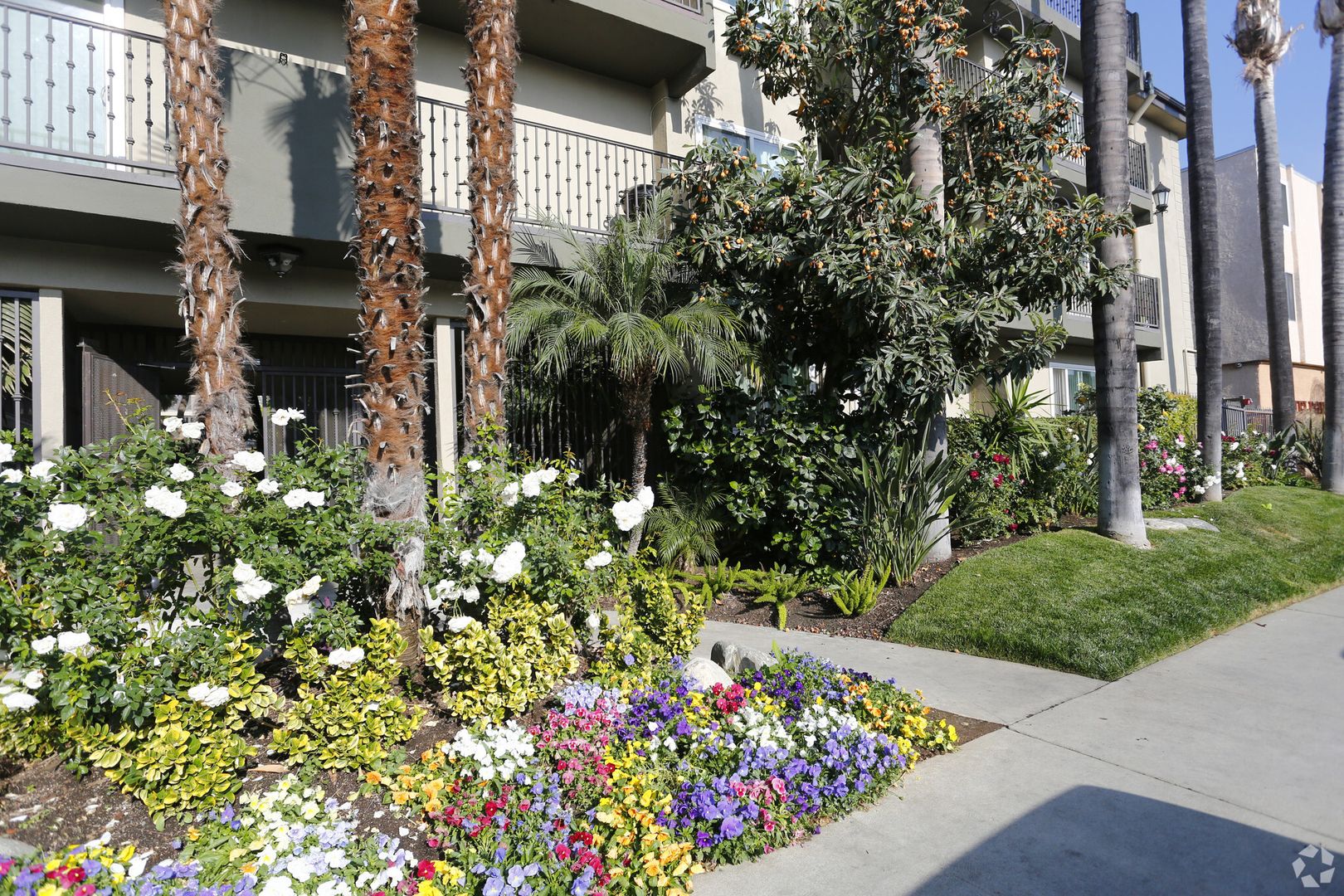 Encino Apartment: 5415 Newcastle Ave