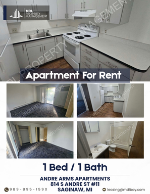 1-Bedroom Apartment in Saginaw – photo 1