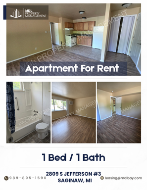 1-Bedroom Apartment in Saginaw