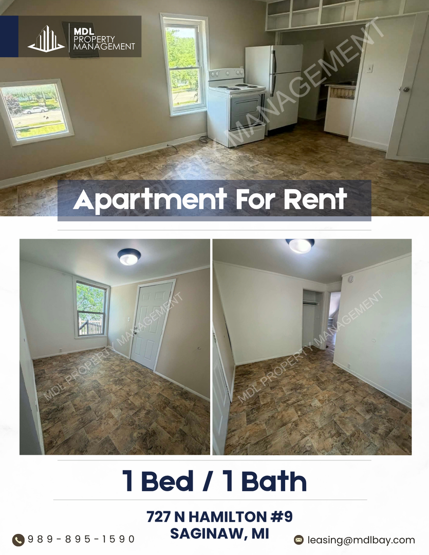 Saginaw Apartment: 727 N Hamilton Street