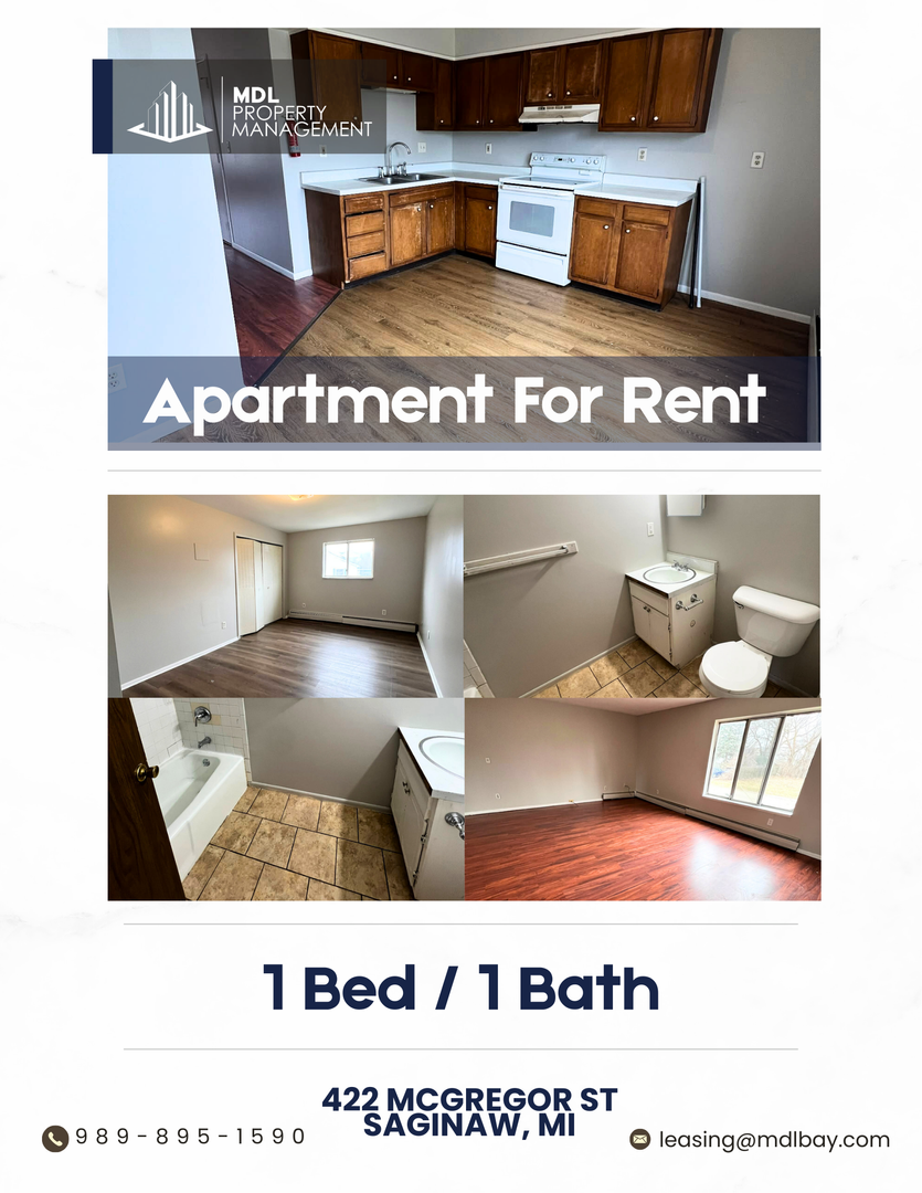 Saginaw Apartment: 422 Mc Gregor Street