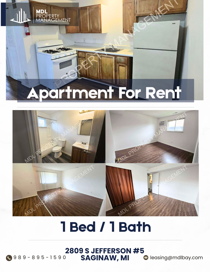 Saginaw Apartment: 2809 S Jefferson