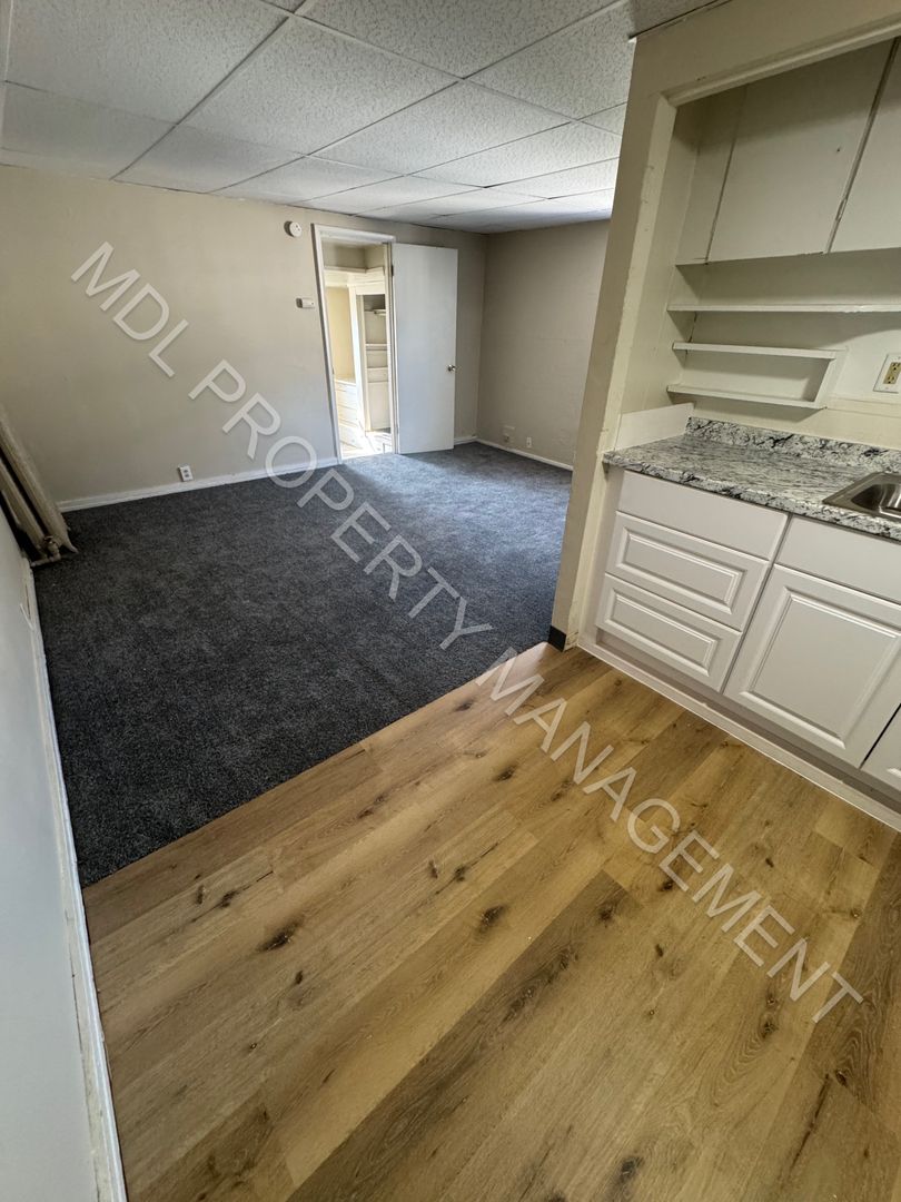 Saginaw Apartment: 727 N Hamilton Street