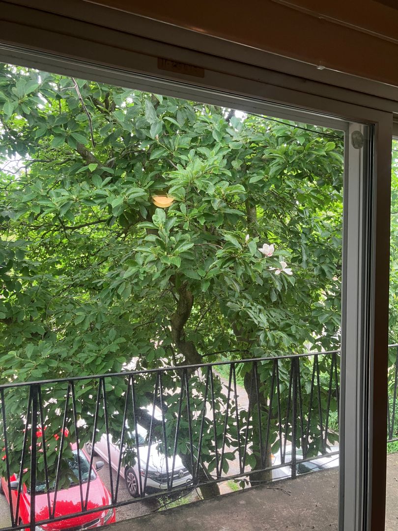 116 W. 8th St-Riverview Apts