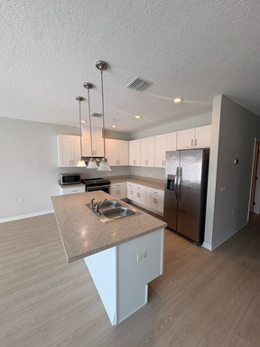 4423 Cambio Gardens Ct – photo 1