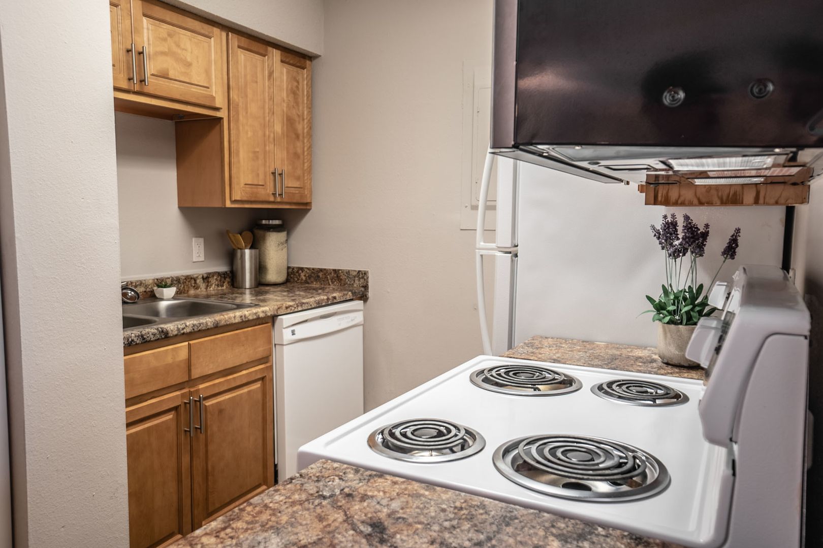 Tallahassee Apartment: 1112 S Magnolia Dr