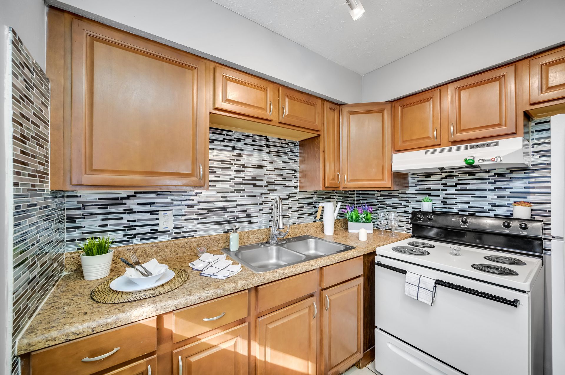 Temple Terrace Apartment: 11716 N 58th St