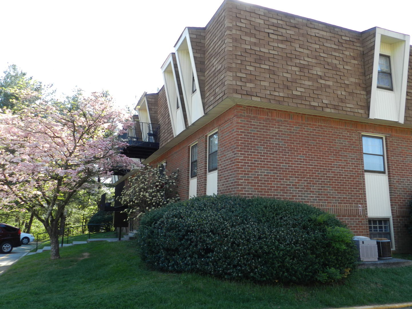 Roanoke Apartment: 3501 Normandy Lane