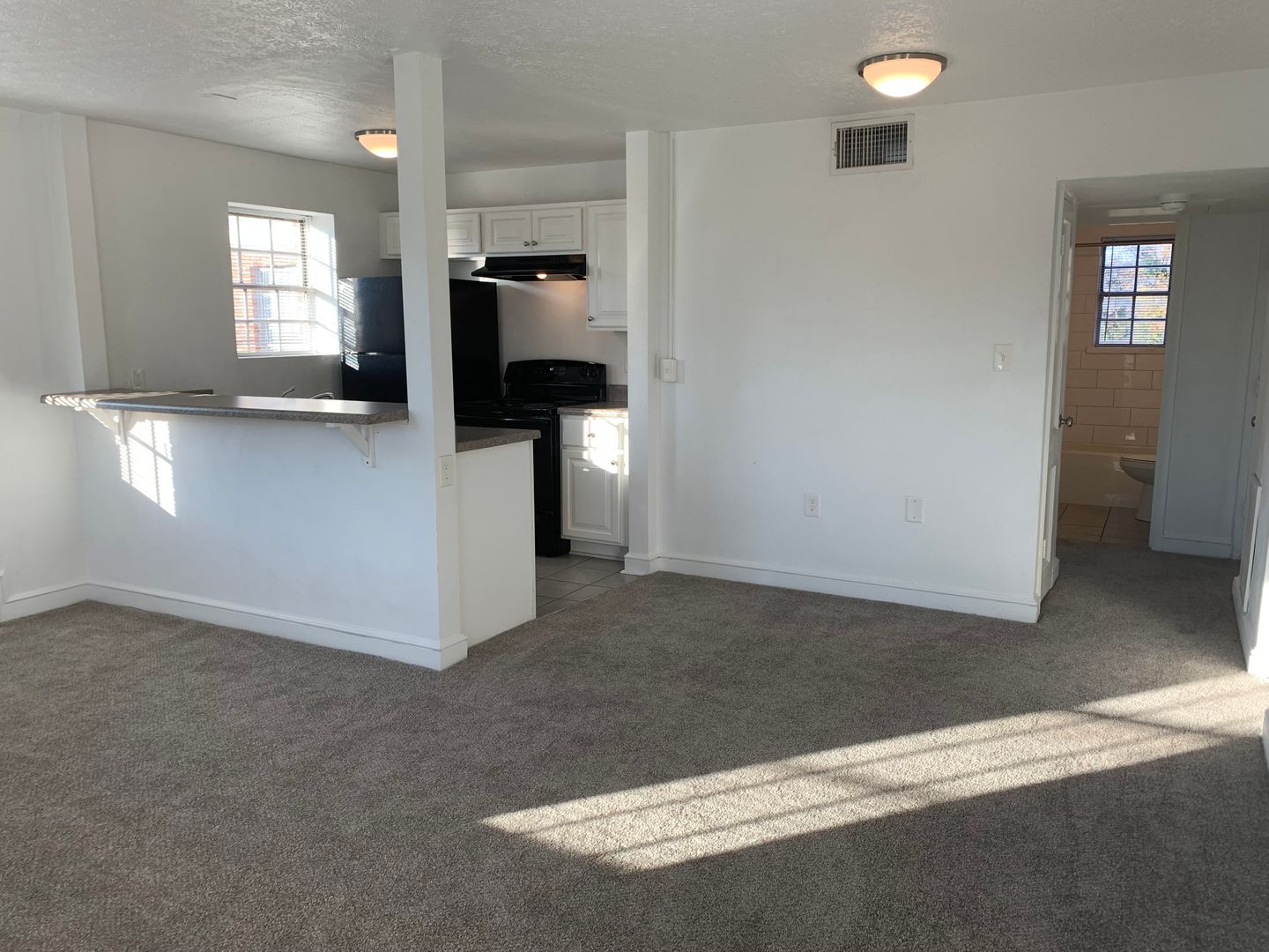 Salem Apartment: 231 Chestnut St