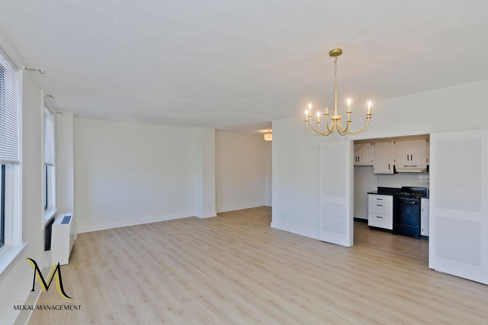 Springfield Apartment: 140 Chestnut Street