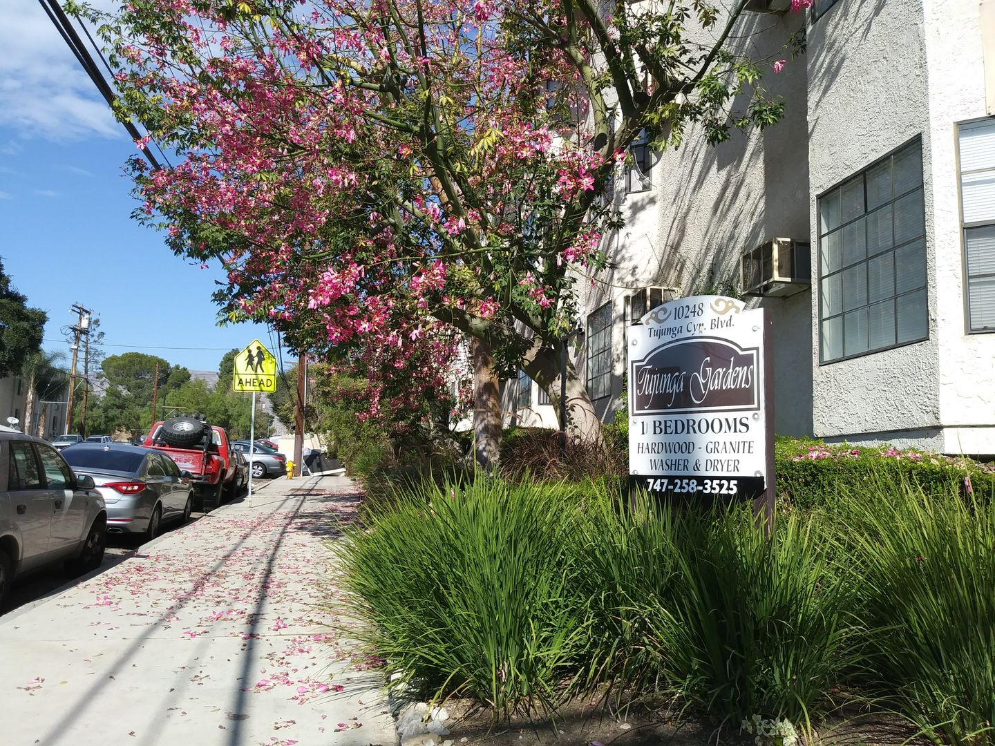 Tujunga Apartment: 10248 Tujunga Canyon Blvd.