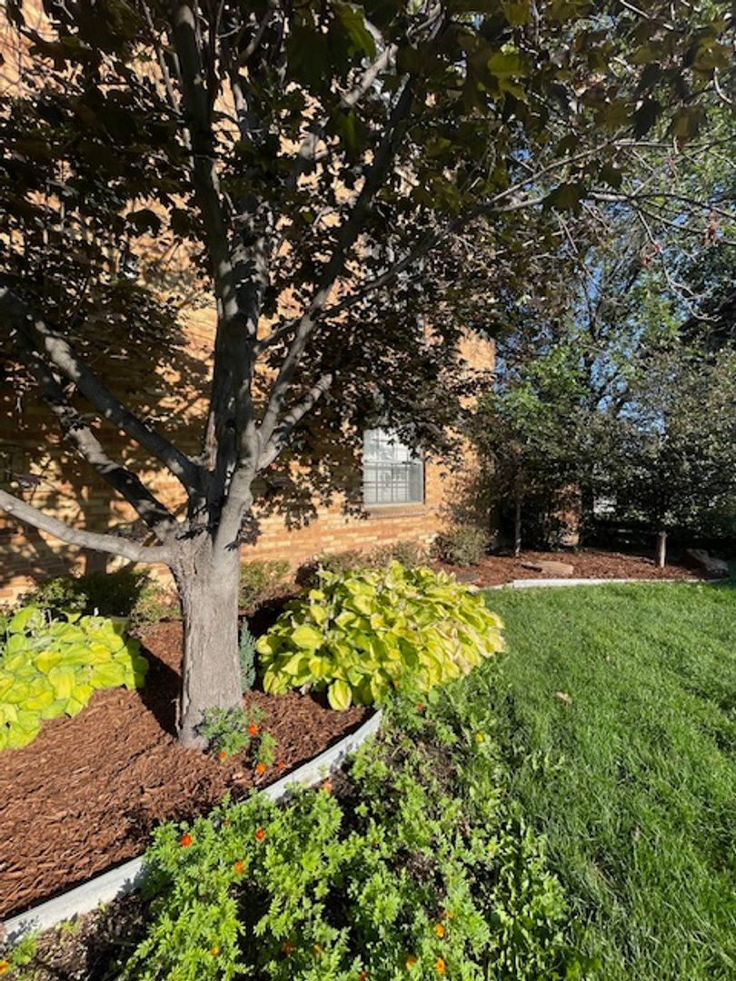 Englewood Apartment: 3421 South Downing Street