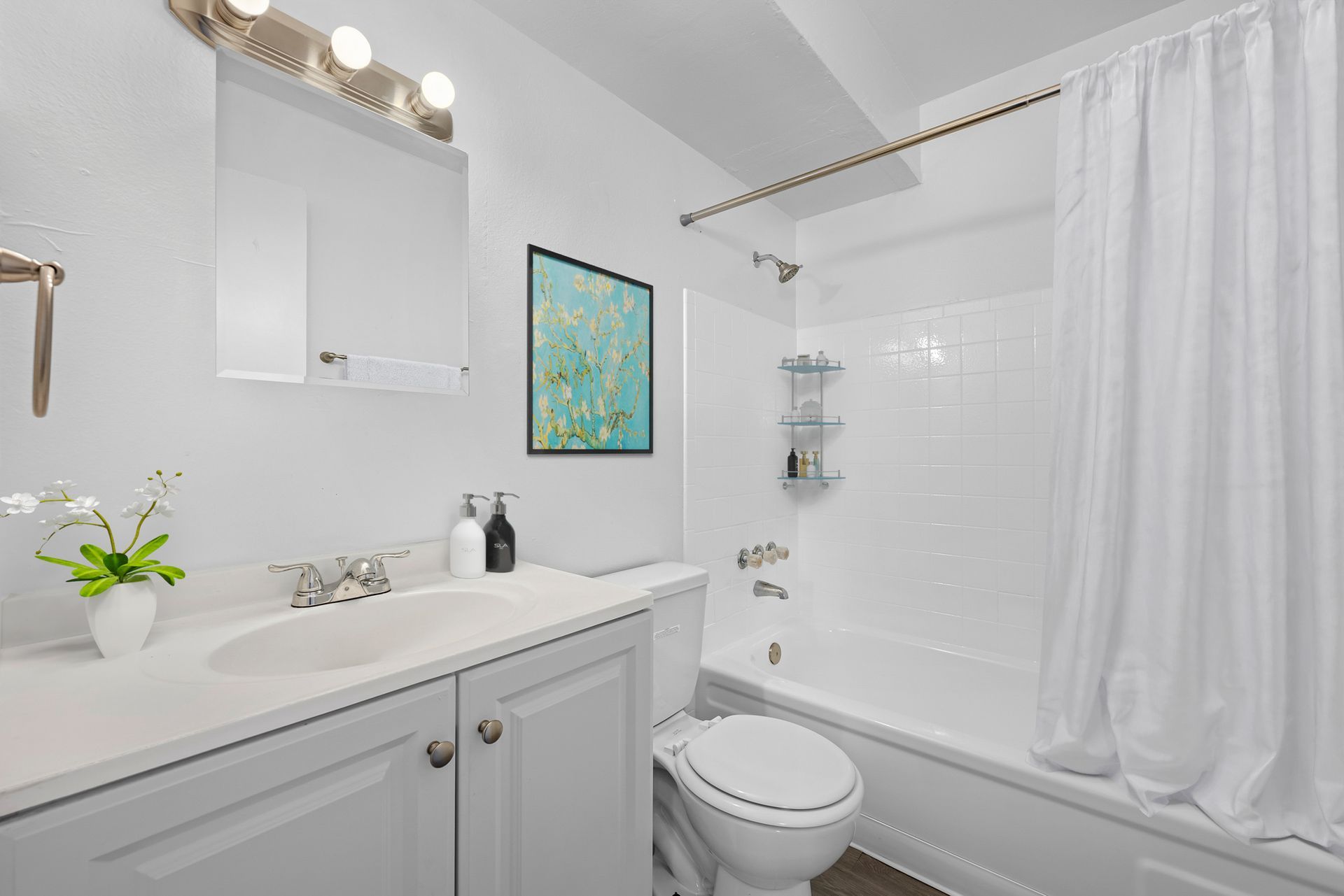 Brighton Apartment: 730 Mather St