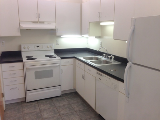 Washer and Dryer in Unit, Huge 2 Bed 1 Bath Apartment! Walking Distance to VCU! – photo 1