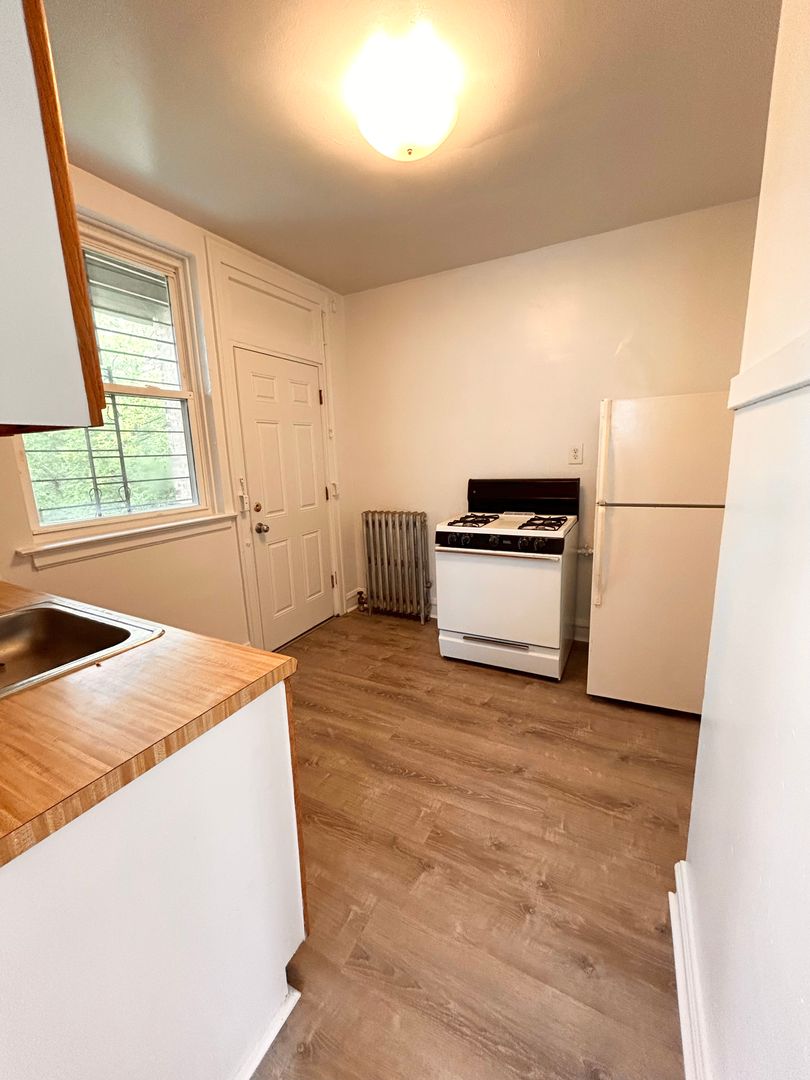 Chicago Apartment: 2944-48 N. Albany