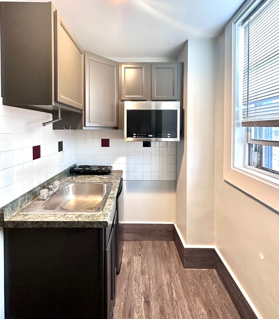 Worcester  Studio 1 baths - $1,350 No Fee