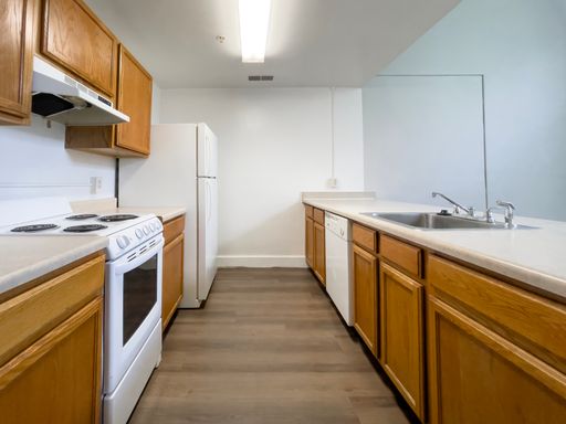 Wilson School Apartments - 1 Bedroom/ 1 Bathroom Apartments- Great Location! – photo 1