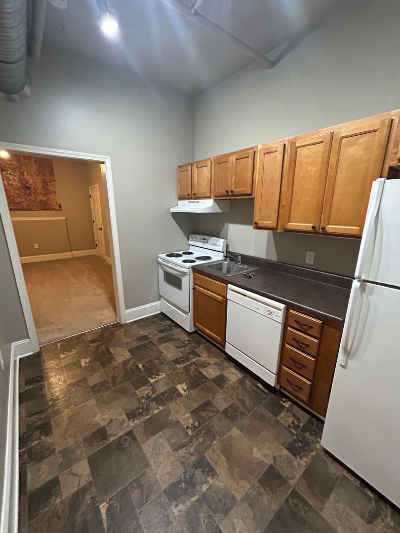 Spartanburg Apartment: 249 Magnolia Street