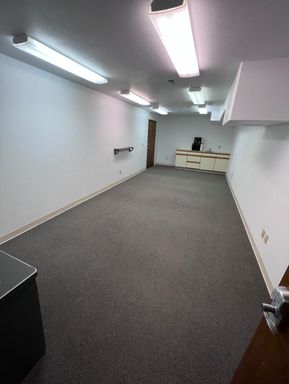 Large Basement Office/Conference room with sink