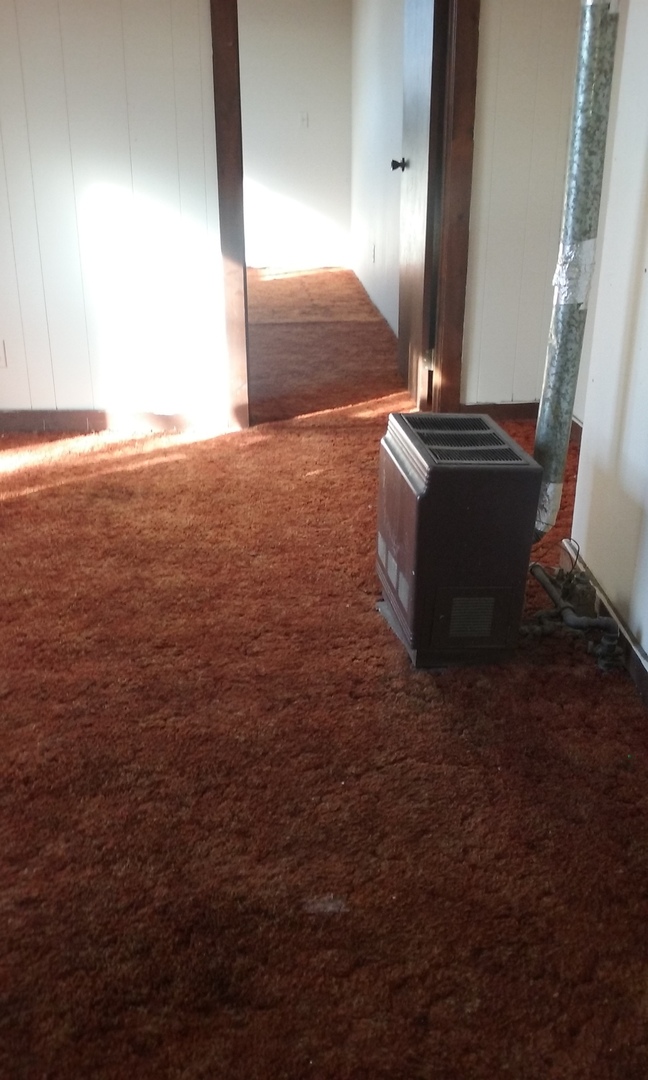 Miles City Apartment: 714 N. Cottage