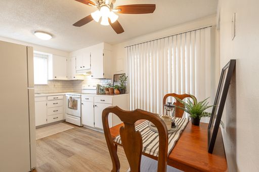 Discover Your Perfect Home at Park Avenue Apartments. – photo 1
