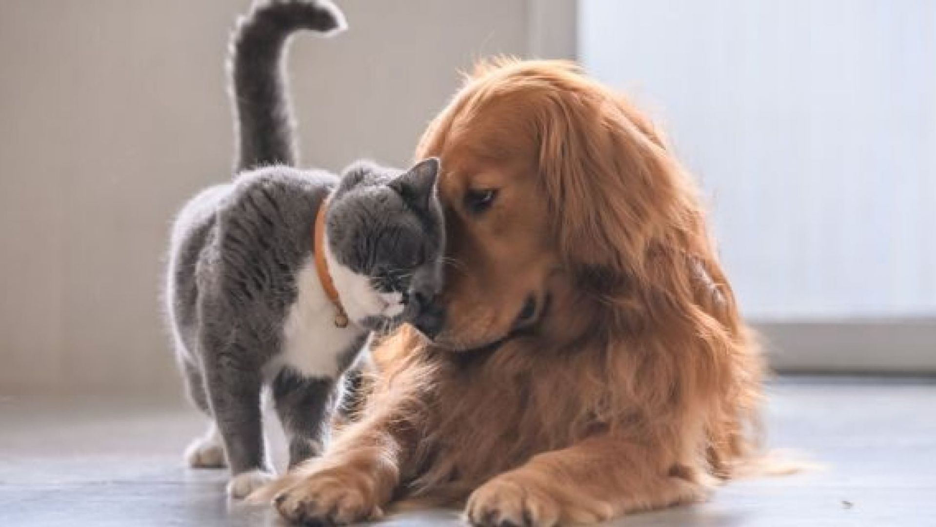 Hilltop Court Apartments , 158 WarnerMilne Road 1028, Oregon City, OR