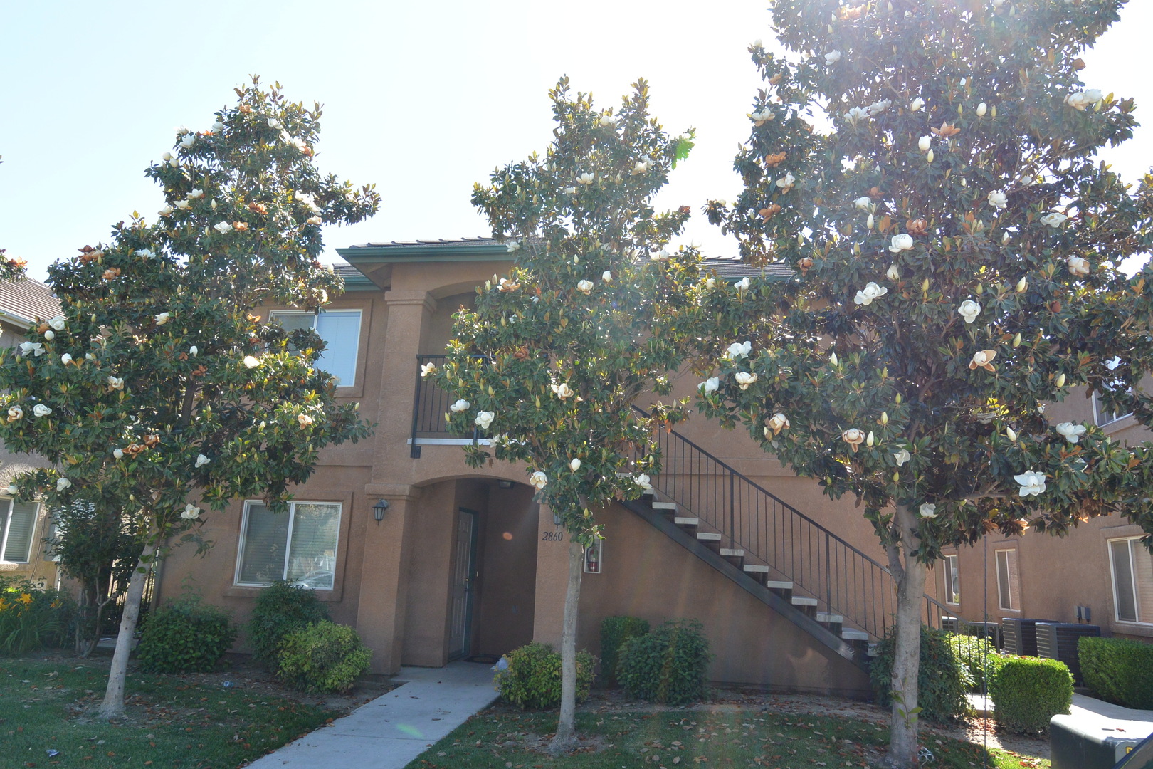 Visalia Apartment: 2860 N. Terrace