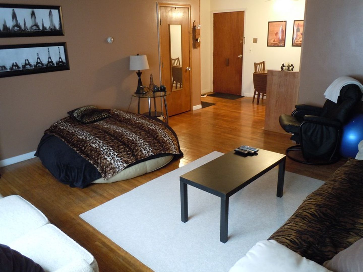 Minneapolis Apartment: 801 University Ave SE