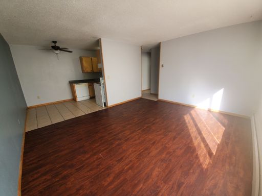 Marcy Holmes 1 Bedroom Available September – photo 1