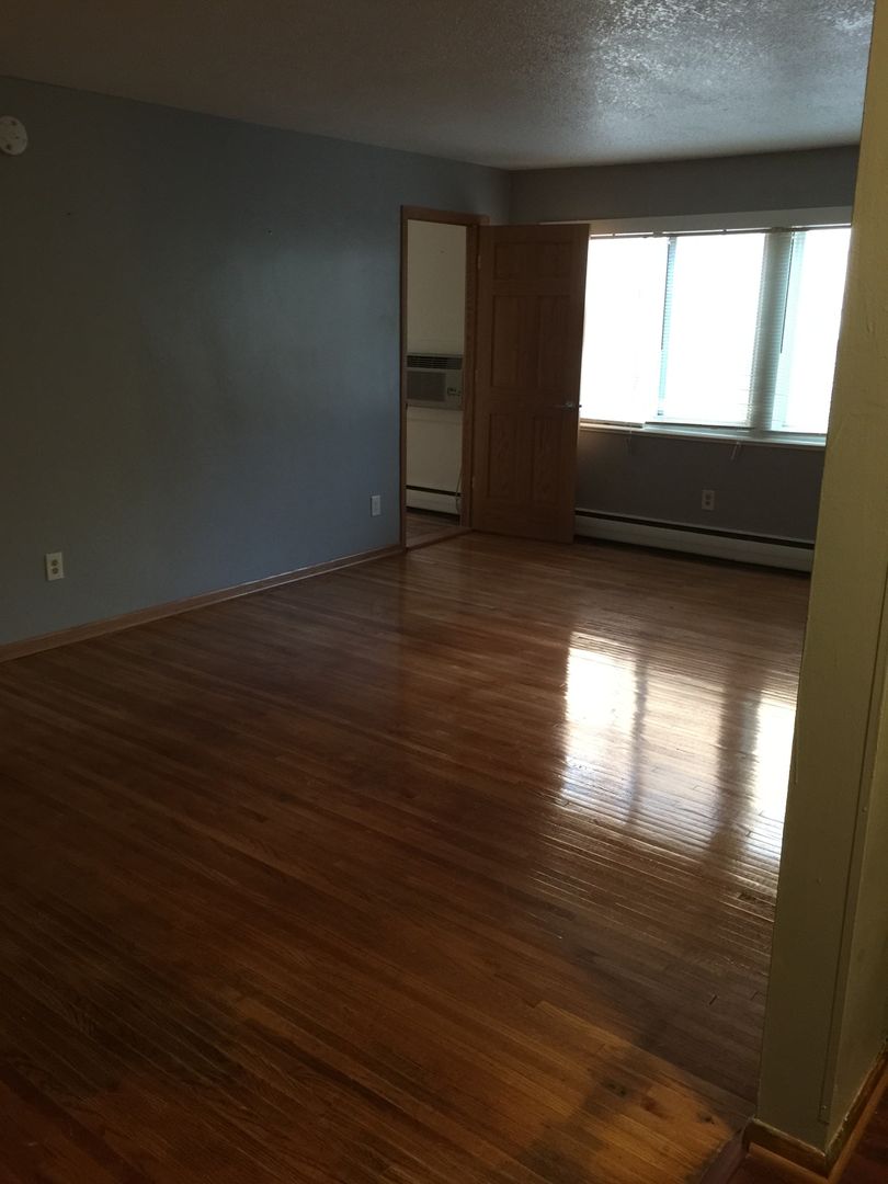 Minneapolis Apartment: 319 8th St SE