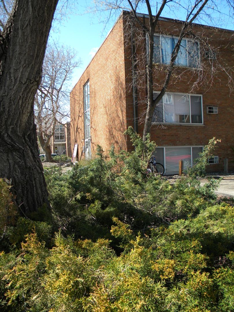 Minneapolis Apartment: 801 University Ave SE