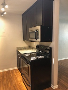 One Bedroom ~ Dinkytown ~ September 1st Move In – photo 1