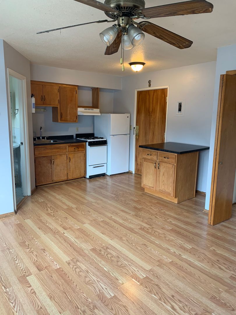 Minneapolis Apartment: 330 8th St SE