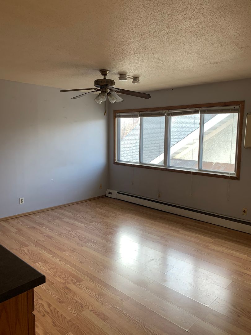 Minneapolis Apartment: 330 8th St SE