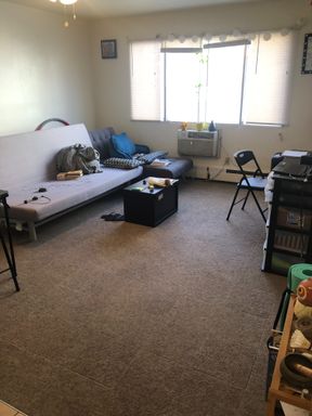 Cute Studio for January move in near U of M – photo 1