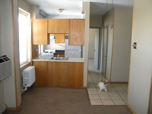 1 bed/1 bath unit located near the University of Minnesota – photo 1