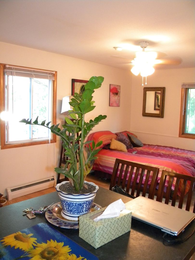 Minneapolis Apartment: 330 8th St SE