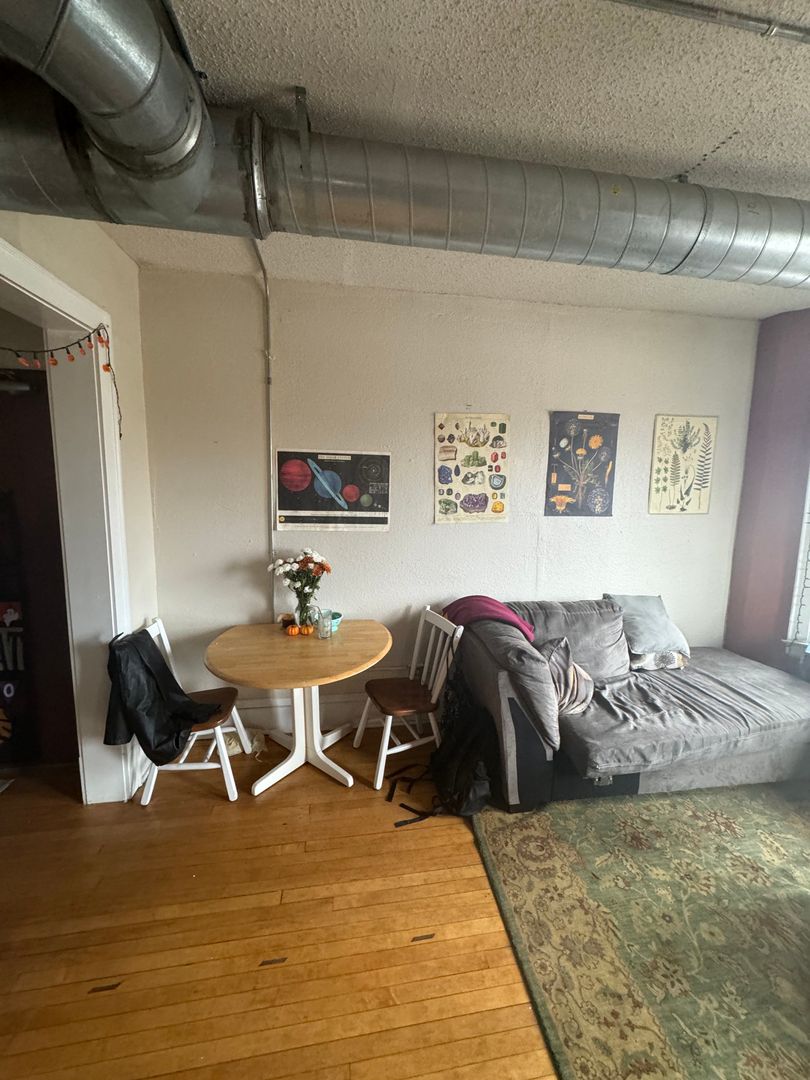 Minneapolis Apartment: 800 4th St SE