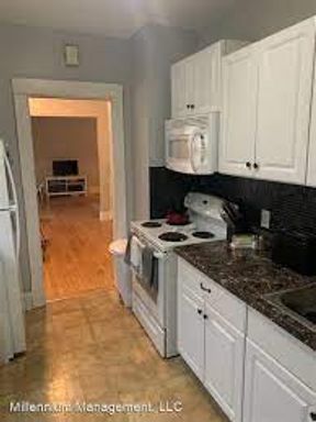 WALK TO CAMPUS~ 4 Bedroom Close by the U of M for Sept 2026 – photo 1