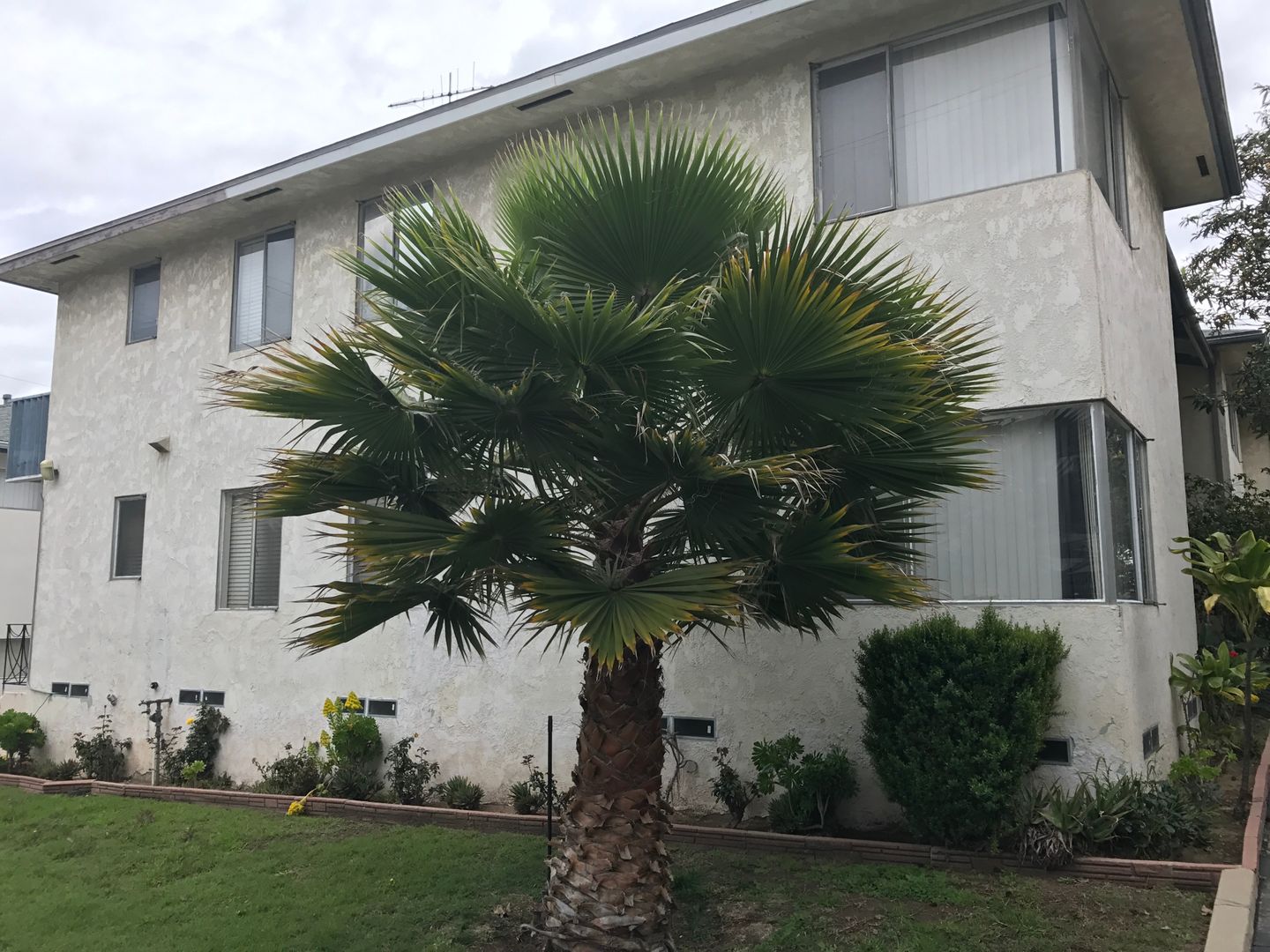 LOS ANGELES Apartment: 5465 ALVERN CIRCLE