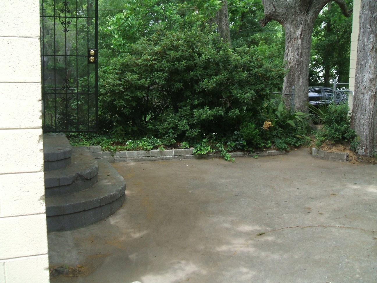 Savannah House: 730 East Anderson Street