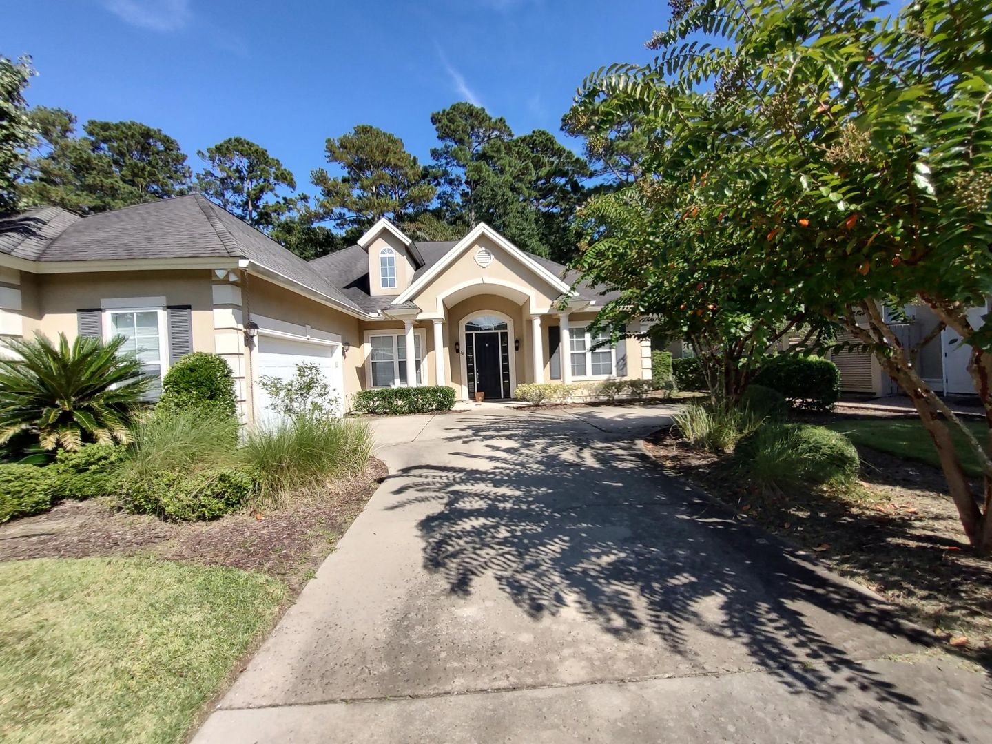 Bluffton House: 38 Glencairn Avenue