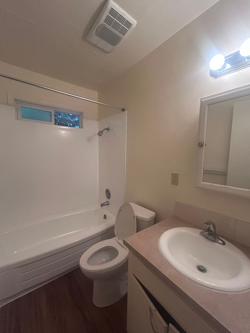 Springfield Apartment: 310 Mill Street