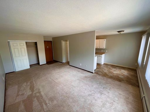 Recently Updated One-Bedroom Apartment Available for Rent by Como Zoo!