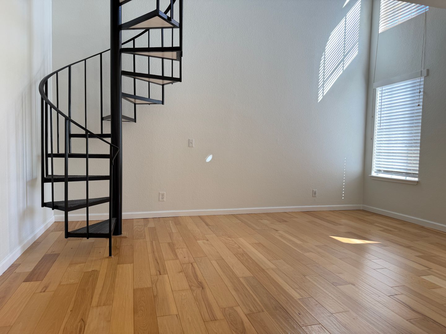 26156 Sanz #B 3 of 12