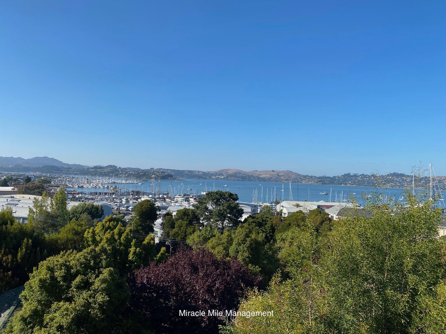 Sausalito Apartment: 148 Filbert Ave