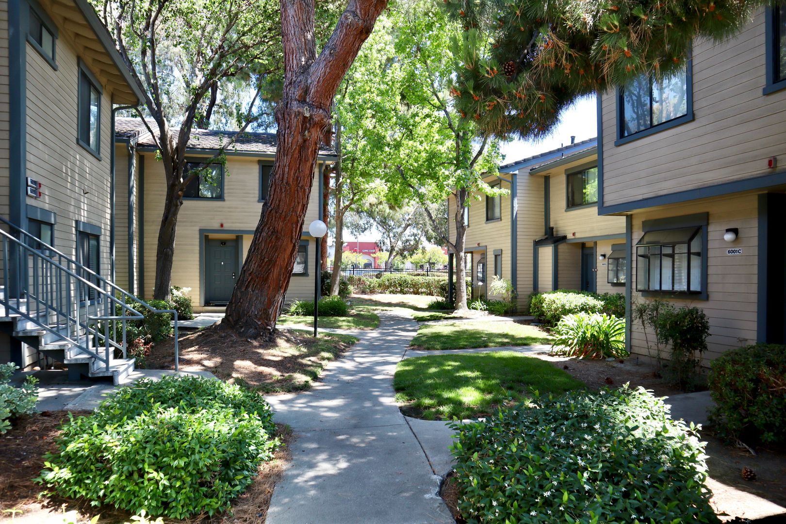 Newark Condo: 6009 Joaquin Murieta Ave Unit D