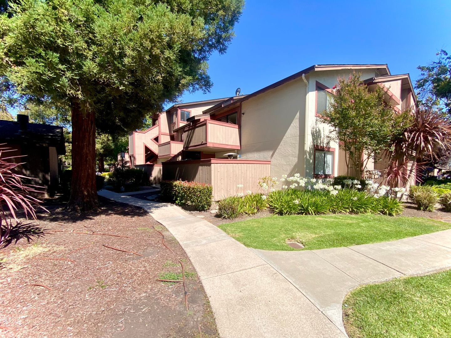 Fremont House: 254 Hackamore Cmn