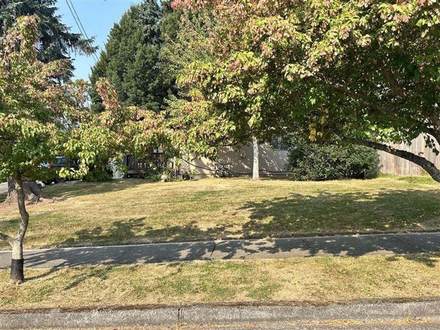 Bellingham Apartment: 1126-1128 22nd St.
