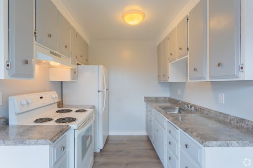 Spacious Large 1-bedroom 1-bathroom unit – photo 1